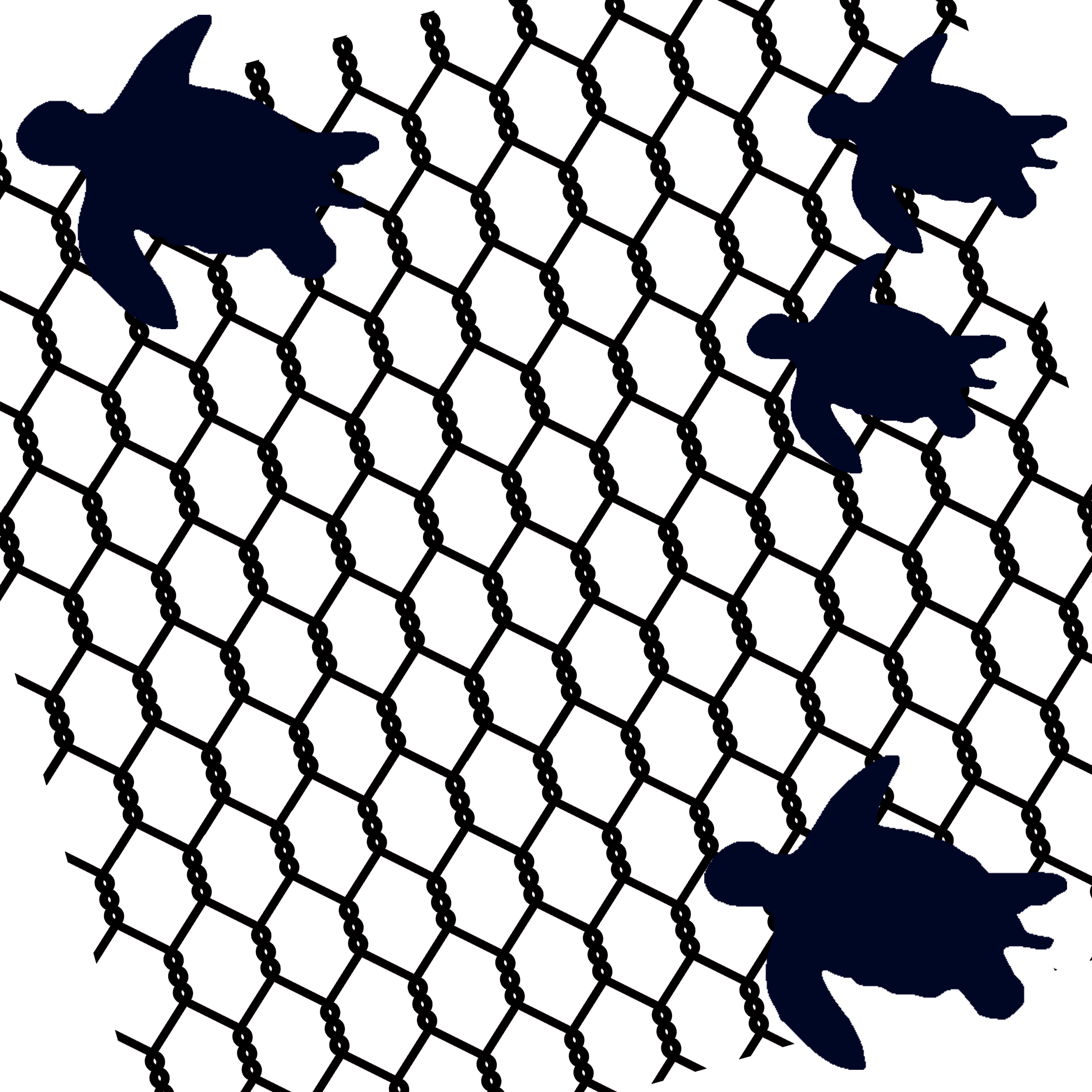 wire and swimming turtle,  turtles   suits 12 x 12